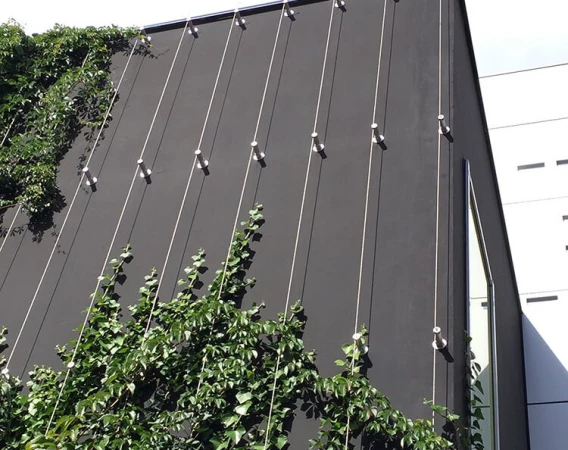 Façade végétalisée avec câble inox 316L et accessoires